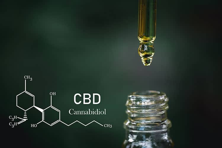 Stärkung der Frauengesundheit mit CBD-Öl: Ein ganzheitlicher Ansatz für Menstruationsbeschwerden, Hormonhaushalt und mehr