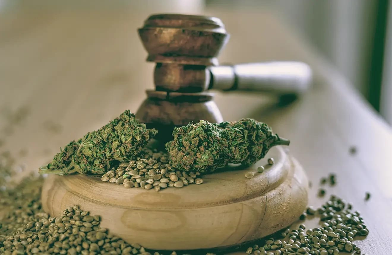 Ein Weg zur Personalisierung: Wo man Cannabissamen für maßgeschneiderte Erlebnisse kaufen kann