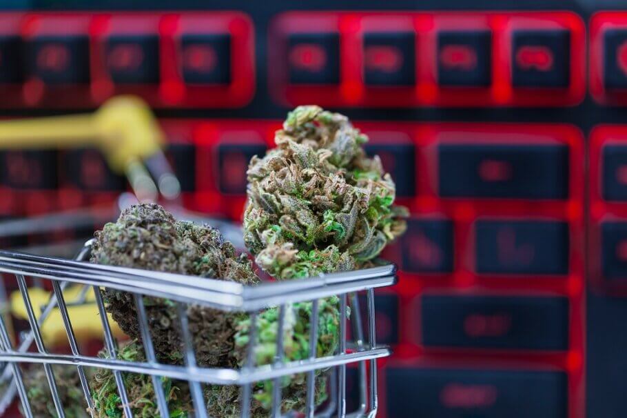 Ob Indoor oder Outdoor – Cannabis Samen bestellen für jeden Bedarf